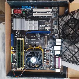 Scheda Asus  M2N-E- SLI