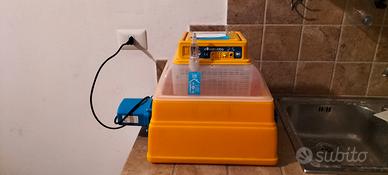 incubatrice covatutto 