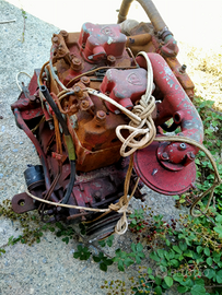 Motore entrobordo Ruggerini 28hp