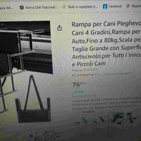 scaletta per cani da auto