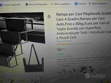 scaletta per cani da auto