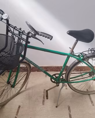 Bicicletta da passeggio donna vintage 