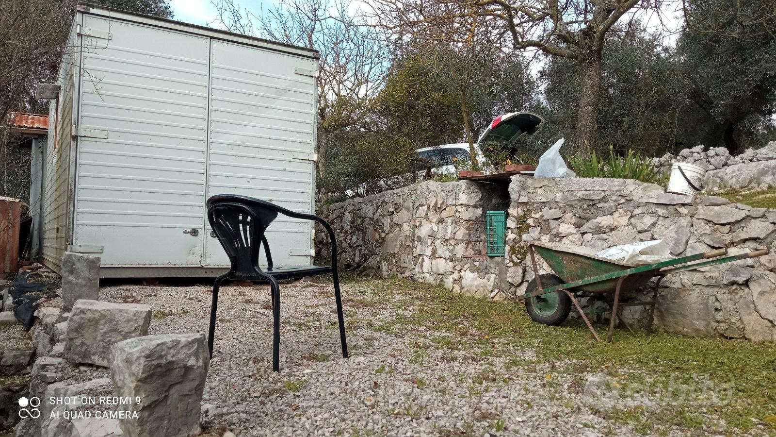 Terreno con uliveto - Vista 2