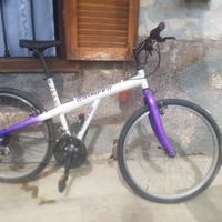 Mountain bike Grimper