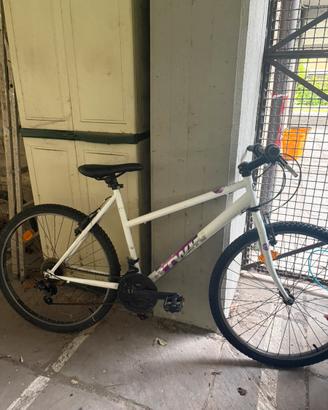 Mountain bike