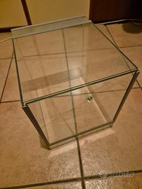 Terrario per rettili