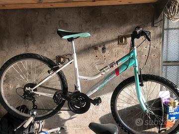 Mountain bike frejus