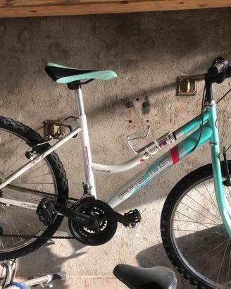 Mountain bike frejus