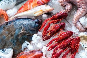 Gastronomia e Pescheria