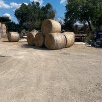 Fieno di altissima qualità