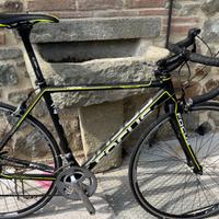 Focus Culebro bici  da corsa S