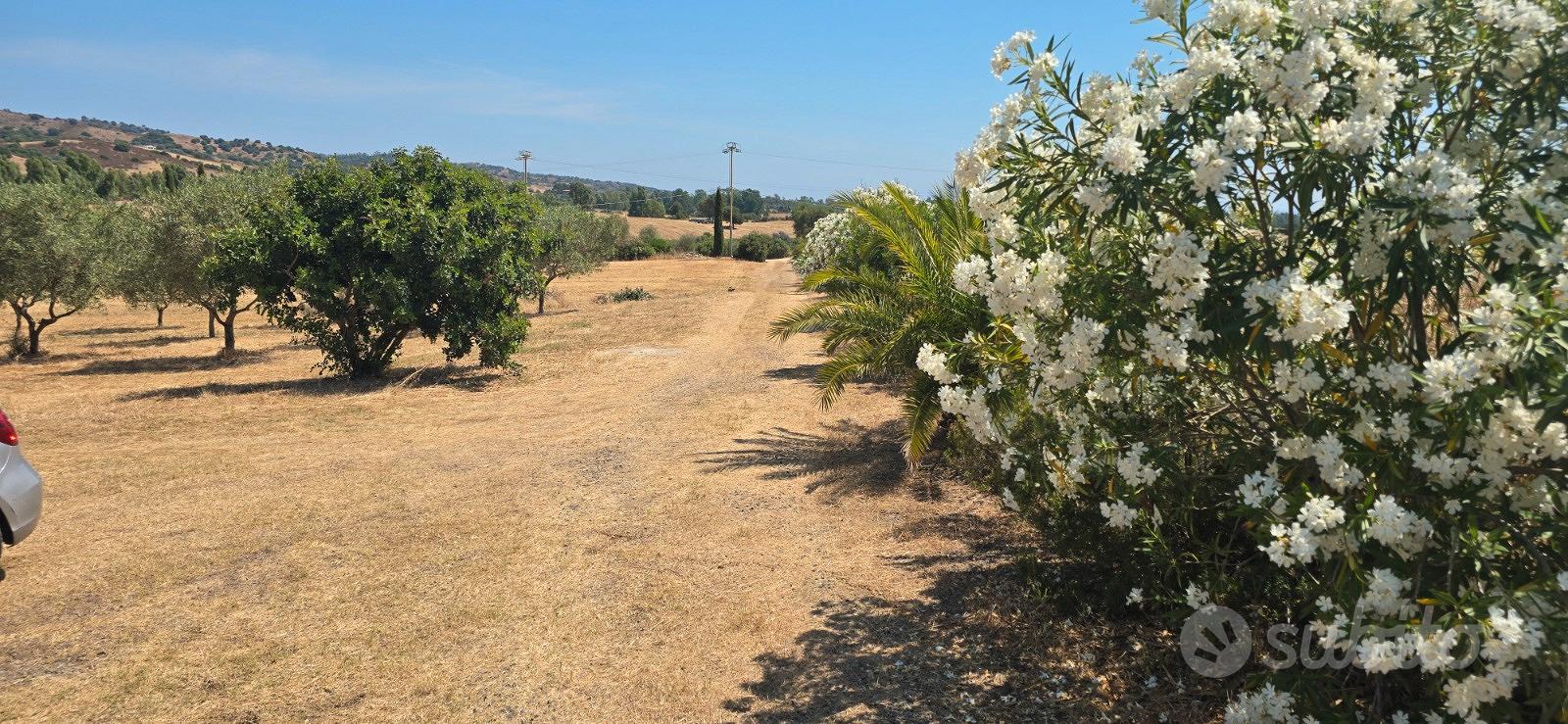 Località Capo Comino - Casa singola con terreno - Vista 5
