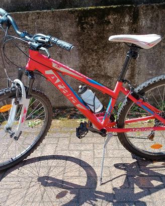 bicicletta MTB 26' donna
