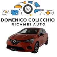 RICAMBI USATI Renault Clio 2021