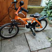 Bicicletta Bambino ruota 16"