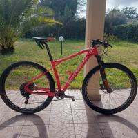 bottecchia ortles M/L carbonio 