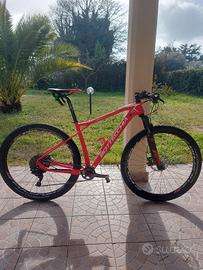 bottecchia ortles M/L carbonio 