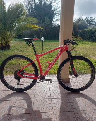 bottecchia ortles M/L carbonio 