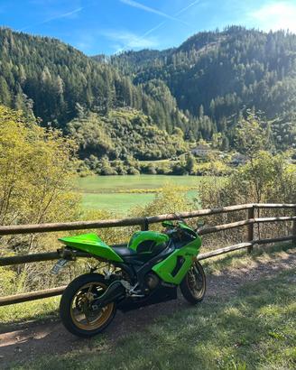 Ninja 636 2005 guidabile A2