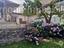 Immagine 25