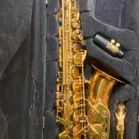 Sax dorato Barpi