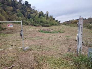 Terreno agricolo