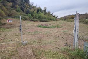 Terreno agricolo