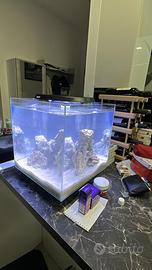 Acquario marino Newa 45 LT