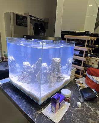 Acquario marino Newa 45 LT
