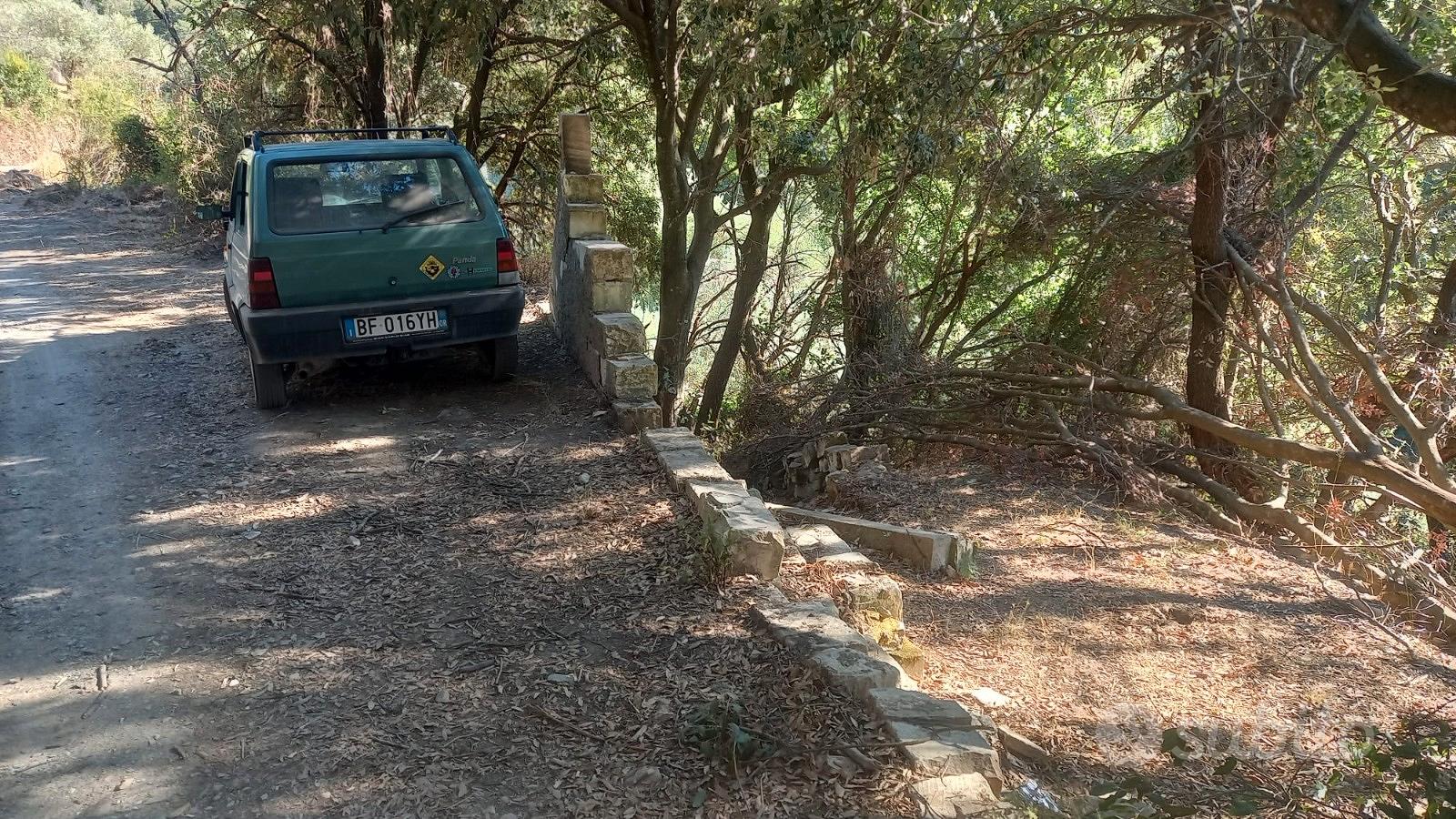 Terreno con uliveto e ruscello vicino a Cuglieri - Vista 5