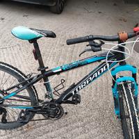 bicicletta ragazzo 