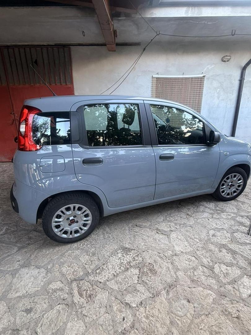 Fiat Panda 2017 photo 2
