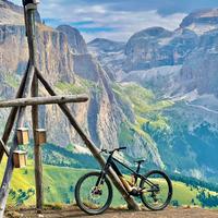 Orbea wild m20 carbon