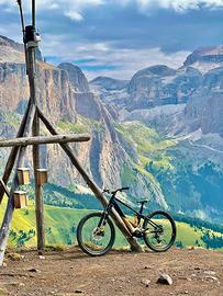 Orbea wild m20 carbon