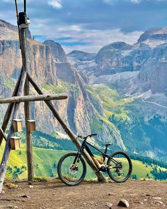 Orbea wild m20 carbon