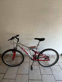 Bicicletta mtb