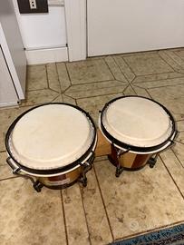 Bongo