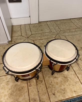 Bongo