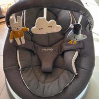 Sdraietta Nuna Leaf grow