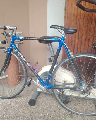 Bici al carbonio 