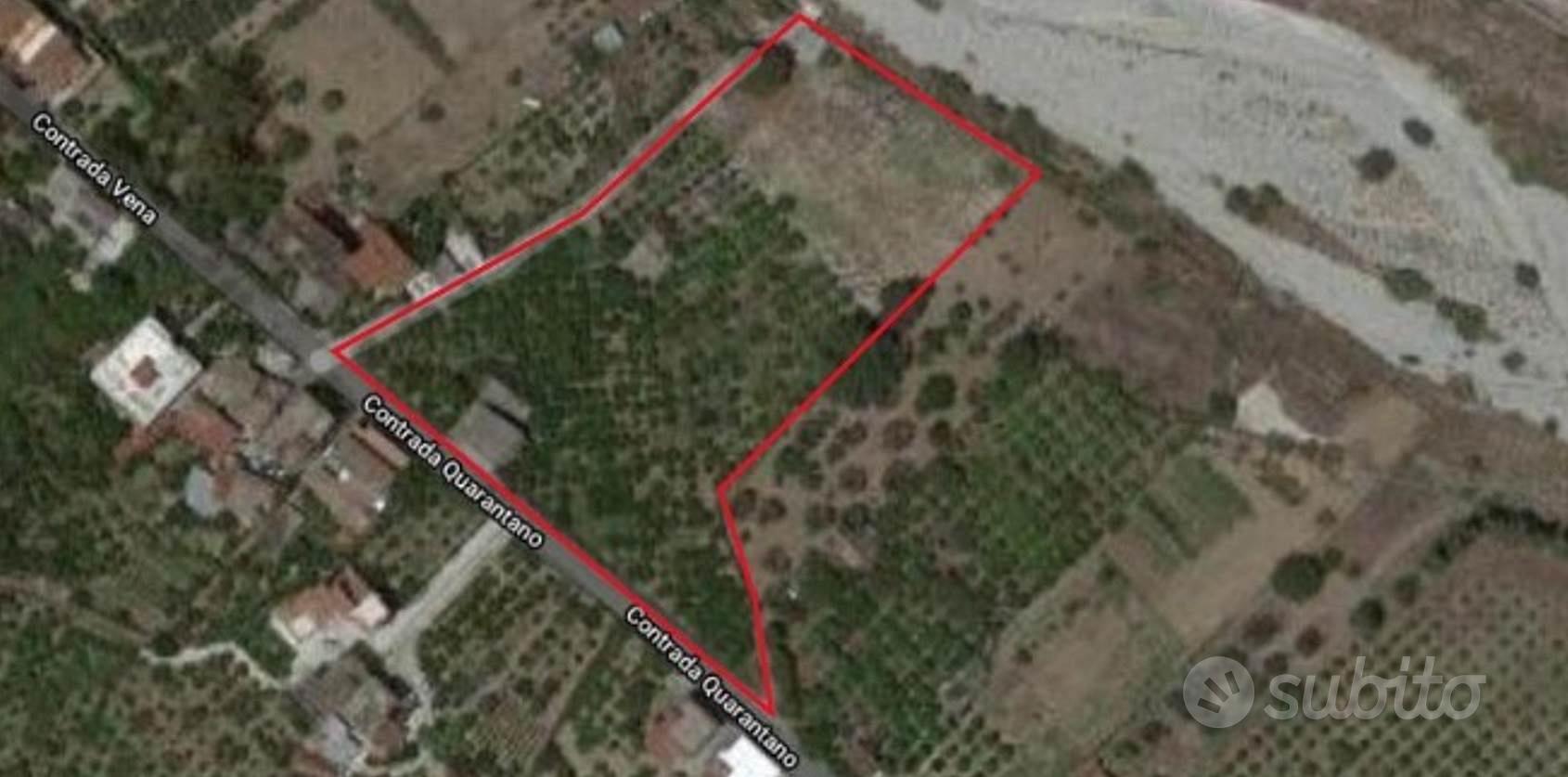 Rif.RI510| terreno agricolo sant'ilario dello ion - Vista 4