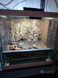 Terrario 