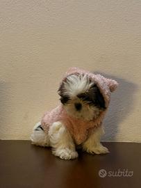 Per maggiori informazioni contattatemi in privato