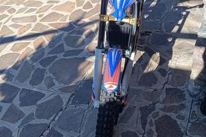 Trial Beta Evo Factory 2021