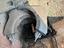 Immagine 2