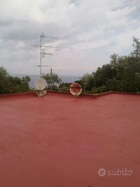 Annuale 4+4 appartamento o ufficio via quercia