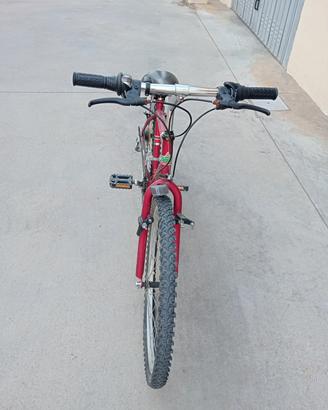 Bici MTB 