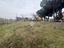 Immagine 12