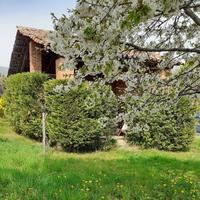 Unità residenziale con rustico e terreno
