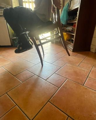 Gambe sedia in legno anteriori